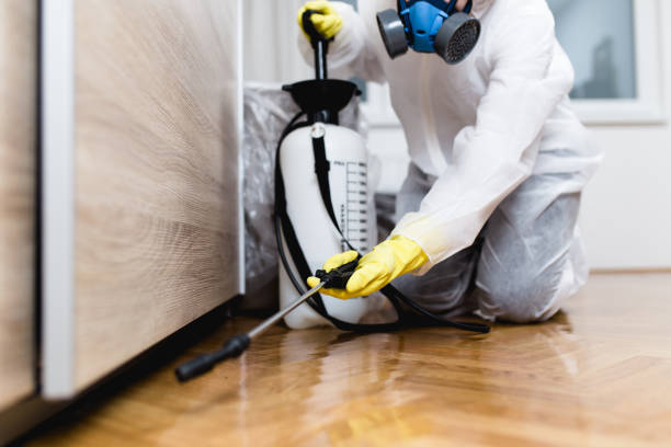 Wasp Removal Services in Phillipsburg, KS