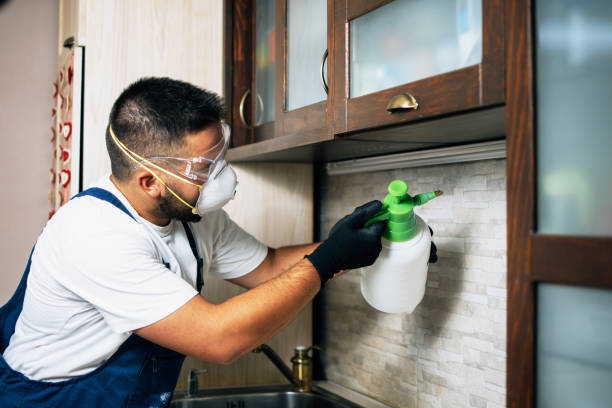 Best Affordable Pest Control Services  in Phillipsburg, KS