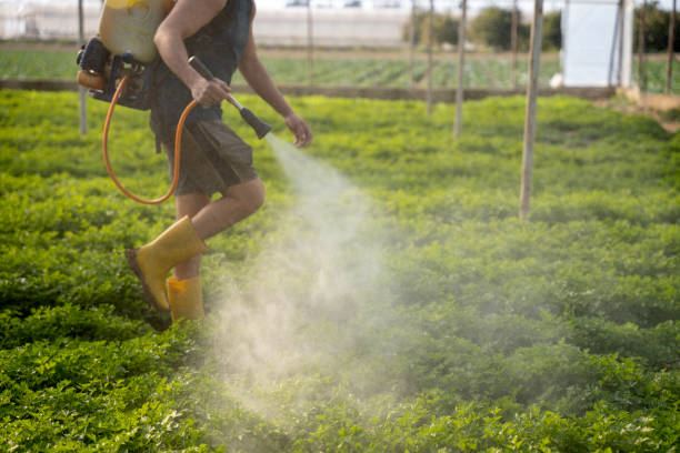 Best Pest Prevention Services  in Phillipsburg, KS