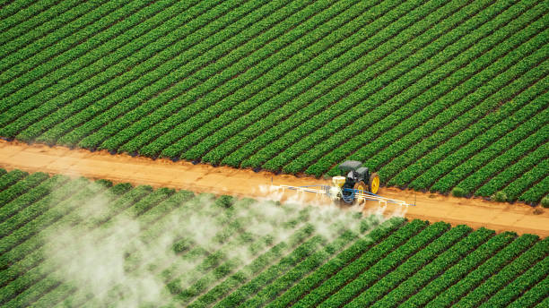 Best Pest Inspection Near Me  in Phillipsburg, KS