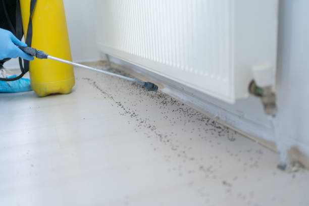 Professional Pest Control in Phillipsburg, KS
